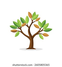 
Almond tree isolated flat vector illustration on white background