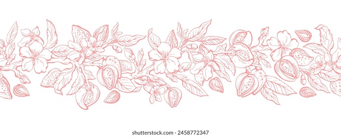 Almond tree, nuts. Sketch vintage seamless branch, flowers and leaves. Floral texture frieze. Botanical pattern. Aroma oil, organic protein, vegan food. Farm harvest, garden