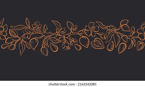 Almond tree. Vector seamless pattern. Outline branch, nuts, flower. Vintage background, art border. Natural food, organic vegan milk