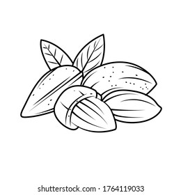 Almond Turkey Vector Stock Illustration