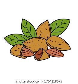 Almond Turkey Vector Stock Illustration
