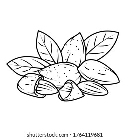 Almond Turkey Vector Stock Illustration
