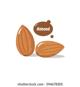 Almond Vector