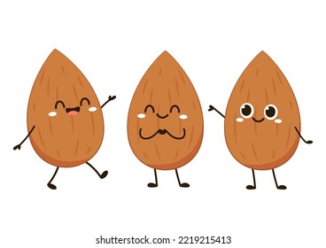Almond vector. Almond character design. Almond on white background.