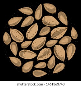 Almond. Vector graphic on background.