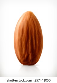 Almendra, icono vector