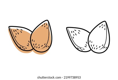 Almond vector icon isolated on white background.