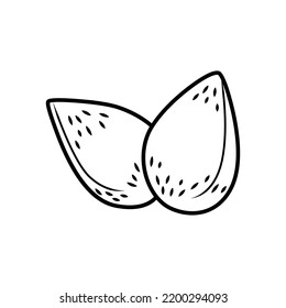 Almond vector icon isolated on white background.