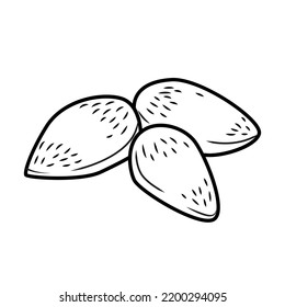 Icono vectorial de almendra aislado en fondo blanco.