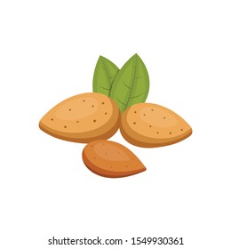 Nueces de iconos vectoriales de almendra al estilo de las caricaturas. Recolección de alimentos para nueces.