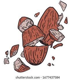 Almond vector illustration. Hand drawn food engraved style illustration. Detailed  sketch. Great for label, poster, print, menu