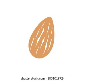 Almond Vector Illustration. Almond Icon. 