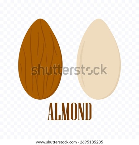 Almond. Vector illustration of an almond nut for web design.