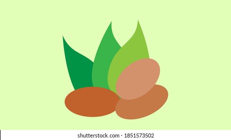 Almond, Vektorgrafik. Rohe Nüsse im Cartoon-Stil.