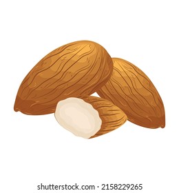 almond vector peanut illustration vegetarian oil seasonal cartoon element organic vegan diet health