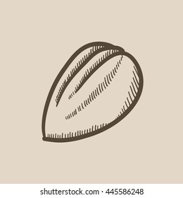 Icono de dibujo vectorial de almendra aislado en el fondo. Hand dibujó el ícono de Almond. Icono de sketch de almendros para infografía, sitio web o aplicación.