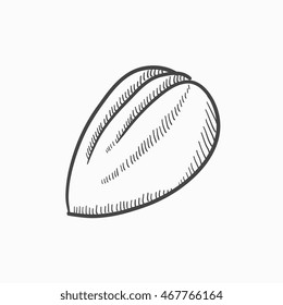Almond vector sketch icon isolated on background. Hand drawn Almond icon. Almond sketch icon for infographic, website or app.