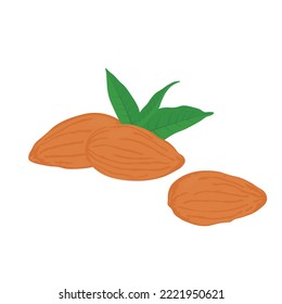 Almond vector stock illustration. Ripe nut kernels with green leaves. Isolated on a white background. For packaging cosmetics, milk, specks, cookies, pastries.