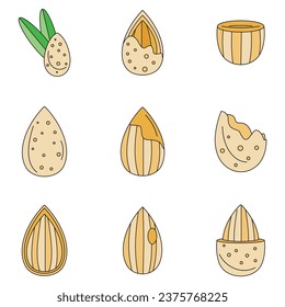 Almond walnut oil seed icons set. Outline illustration of 9 almond walnut oil seed vector icons thin line color flat on white