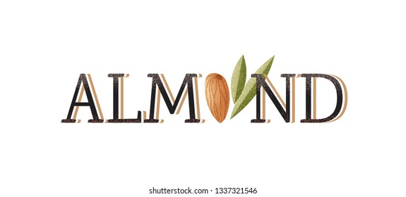Almond word with realistic illustration of almond and leaves on white background. Vector illustration. 