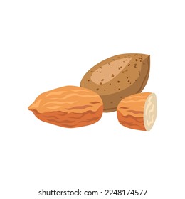 Almonds for creating your own ice cream. Almonds cartoon illustration. Summer, sundae concept