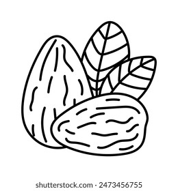 Almonds in doodle style. Vector isolated on yellow background