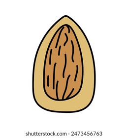 Almonds in doodle style. Vector isolated on yellow background