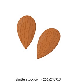 Almonds element isolated on white. Nuts in cartoon style print. Vector illustration