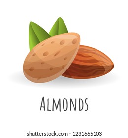 Almonds icon. Cartoon of almonds vector icon for web design isolated on white background