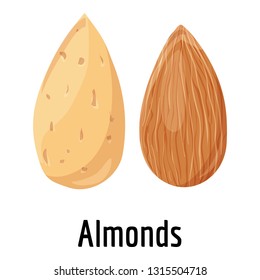 Almonds icon. Cartoon of almonds vector icon for web design isolated on white background
