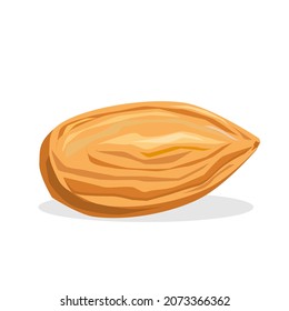 almonds isolated on a white background.vector illustration.