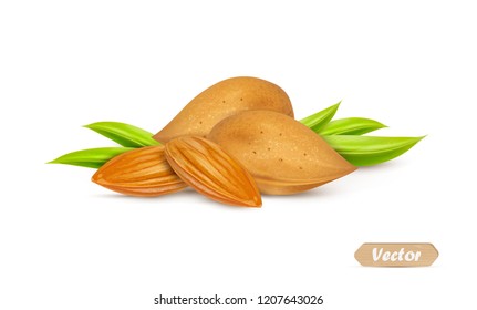 Almonds with kernels and leaves isolated on white background. Vector illustration.