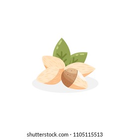 Almonds with kernels and leaves. Vector illustration.