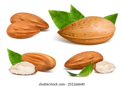 Almonds With Kernels And Leaves. Vector Illustration.