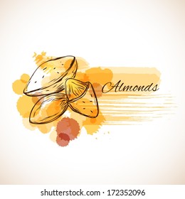 Almonds label spot  - vector illustration