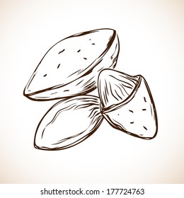 Almonds label spot - vector illustration