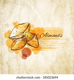 Almonds label spot - vector illustration 
