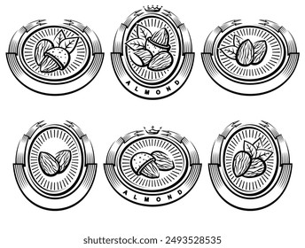 Mandelbeschriftungen und Symbolsatz. Kollektion-Ikone Mandel. Vektorgrafik 