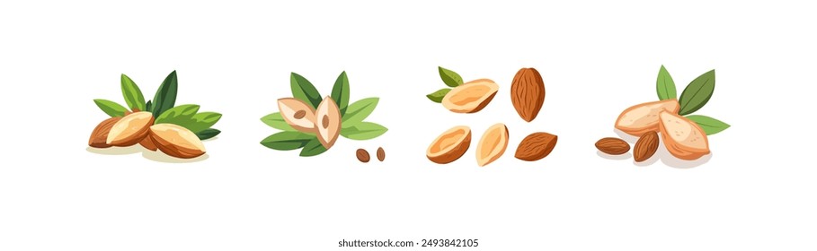 Almonds with Leaves. Vector illustration design