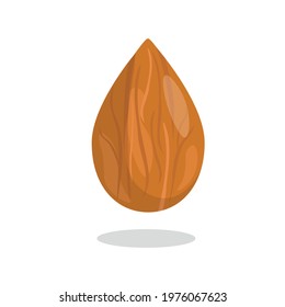 Almonds nut illustration. Vector design element illustration of almond seed. Isolated on white background. 