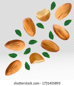 Almonds nuts with green leaf on transparent background. Almond flying from different angles. 3D realistic nuts rich in vitamins. Natural product. Vector illustration