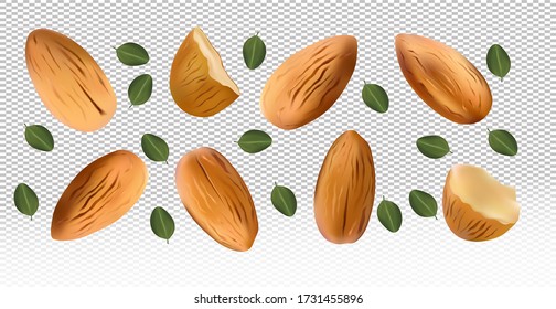 Almonds nuts with green leaf on transparent background. Almond flying from different angles. 3D realistic nuts rich in vitamins. Natural product. Vector illustration