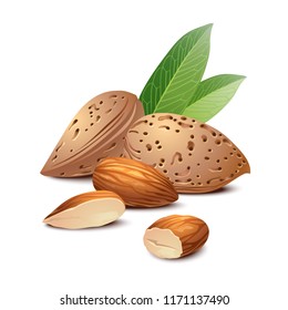 Almonds. Nuts, leaves. Isolated on white.
