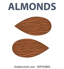 Almonds Nuts Vector Illustration