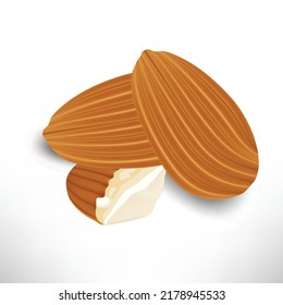 Almonds nuts without shell. Vector color realistic illustration.