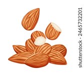 almonds on a white background. Vector eps 10
