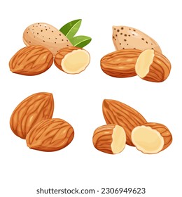 almonds on a white background. Vector eps 10