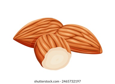 almonds on a white background. Vector eps 10