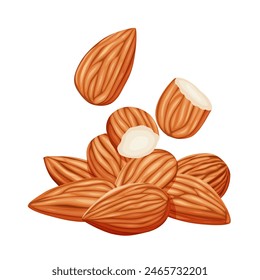 almonds on a white background. Vector eps 10