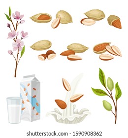 Almonds Plant and Nuts in Shell Vector Set